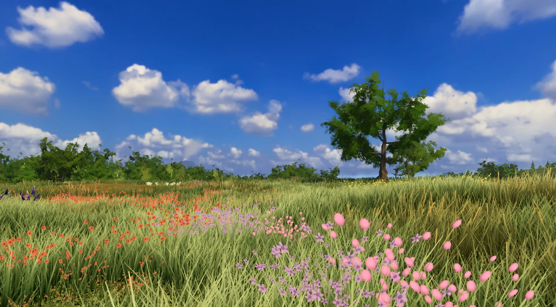 Wildflowers seen from the grass, an oak beyond